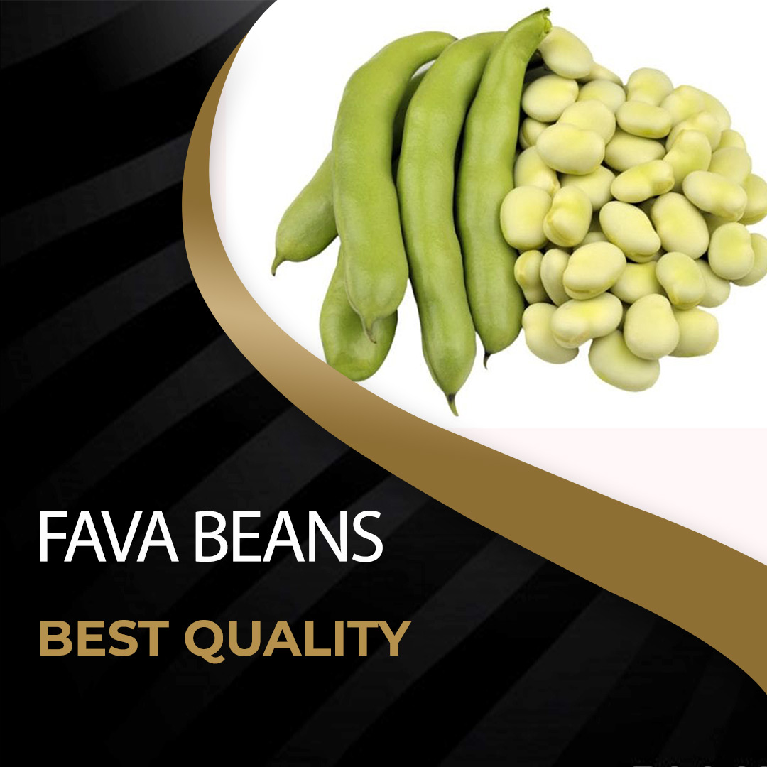 Broad Beans(Fava)