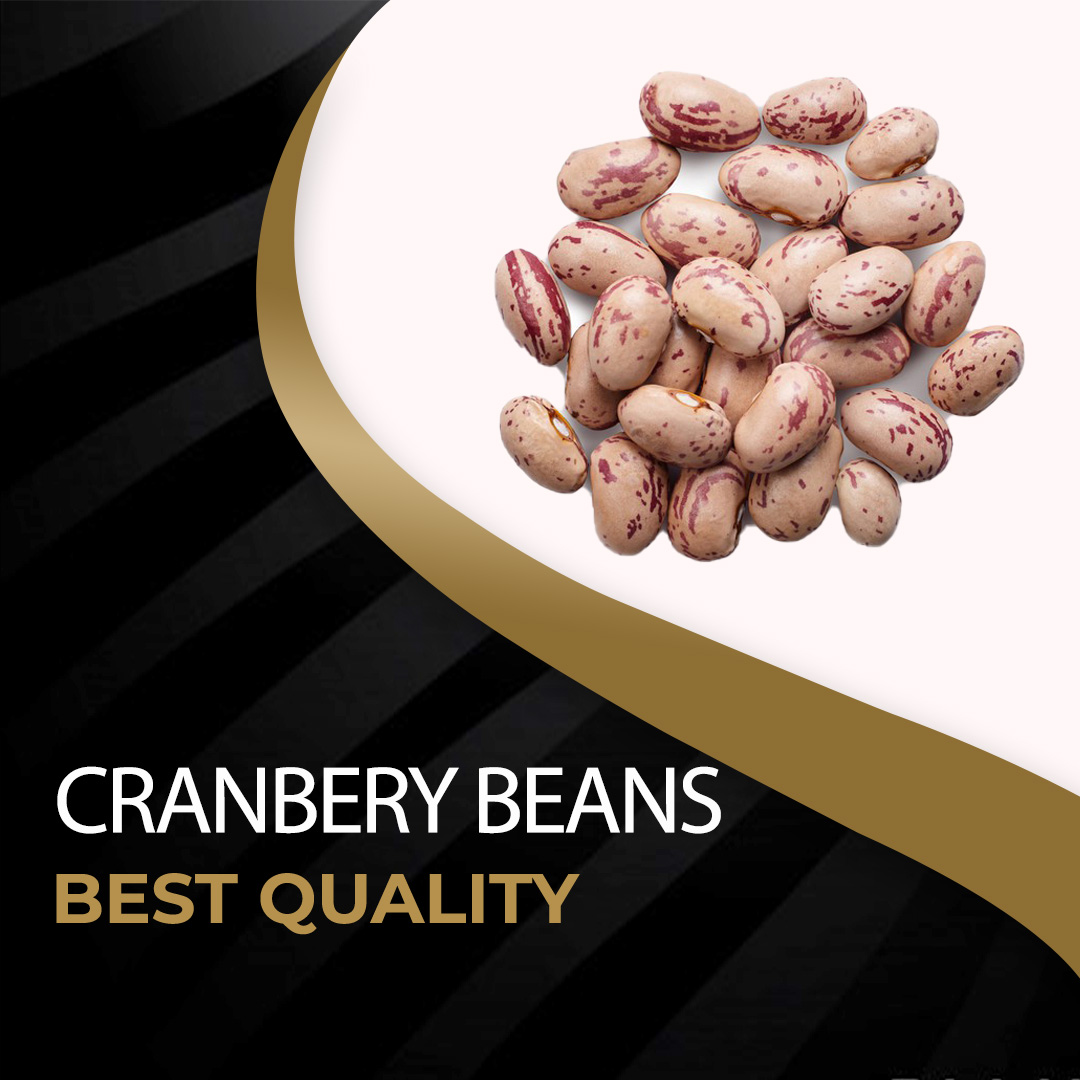 Cranberry(Pinto) Beans